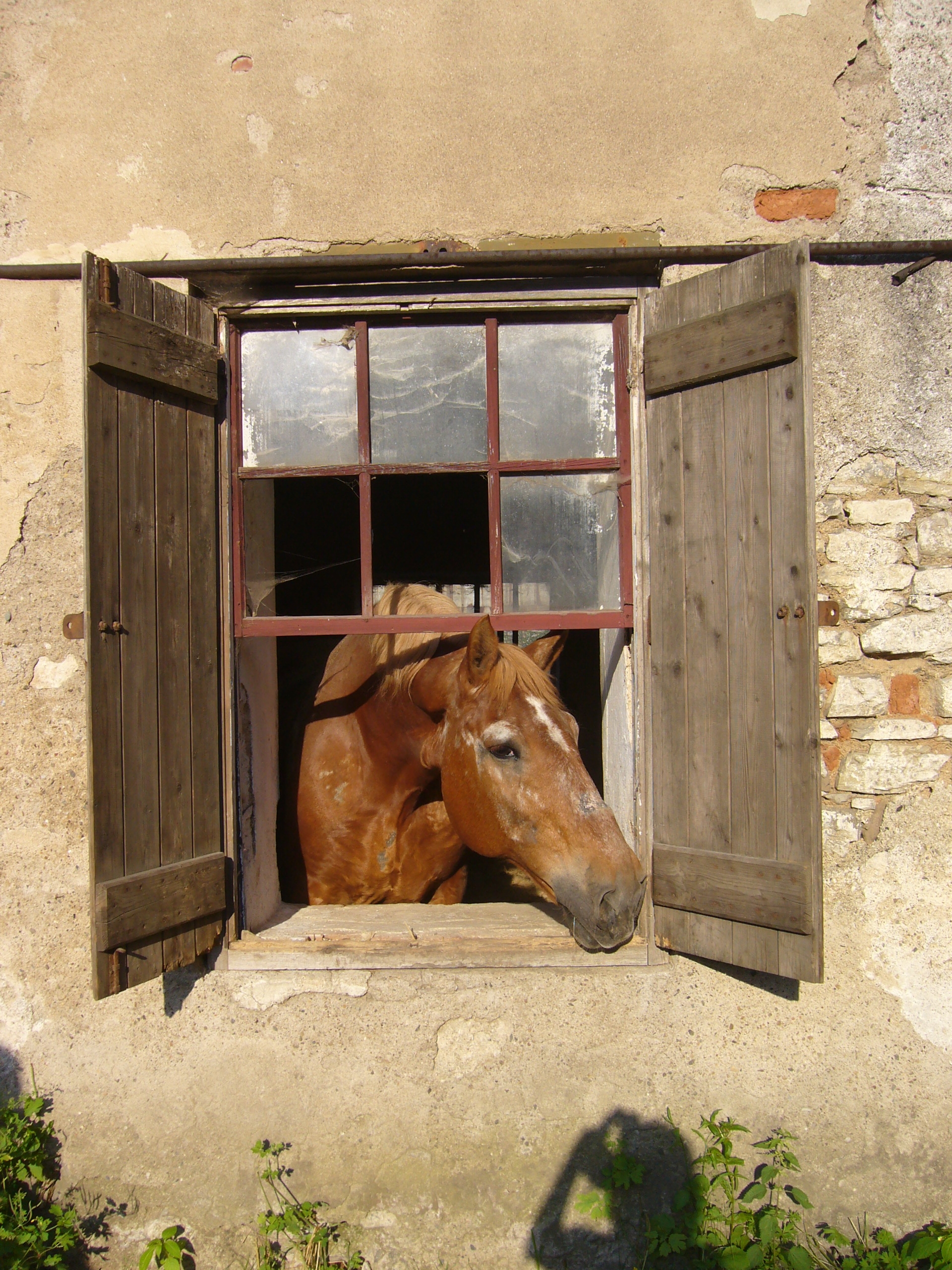 Bezva výhled do dvora, nic mi neunikne